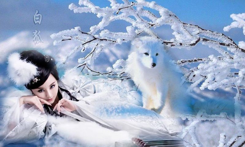 每当一个军人即将退伍，该怎样寻找就业方向？